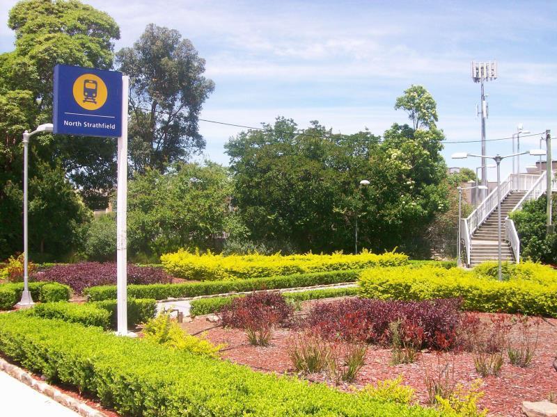 Strathfield Executive Accommodation Sydney Exterior foto
